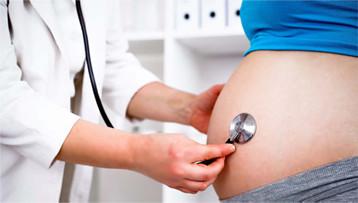 高山精宝保健食品